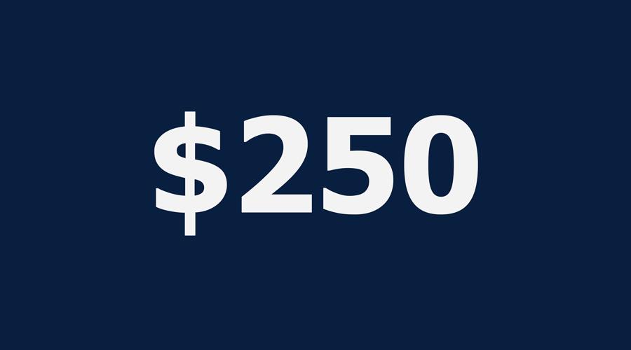 $250 donation